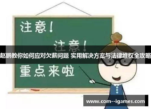 赵鹏教你如何应对欠薪问题 实用解决方案与法律维权全攻略 赵鹏教你如何应对欠薪问题 实用解决方案与法律维权全攻略
