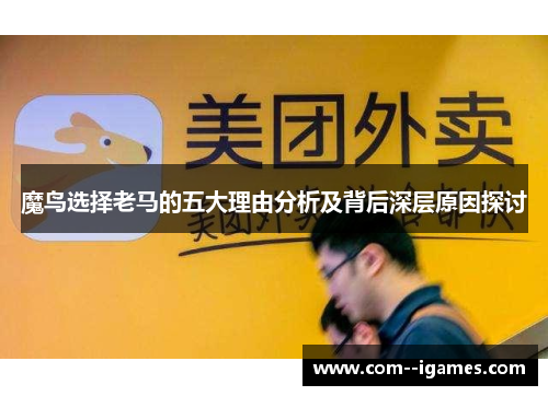 魔鸟选择老马的五大理由分析及背后深层原因探讨